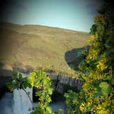 Review photo of Palouse Falls State Park by Andrea R., May 12, 2019