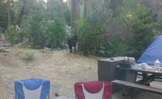 Andrea R.'s photo at Dimond O Campground near Eastman Lake