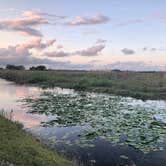 Review photo of Savannas Recreational Park by Mike  Y., May 12, 2019