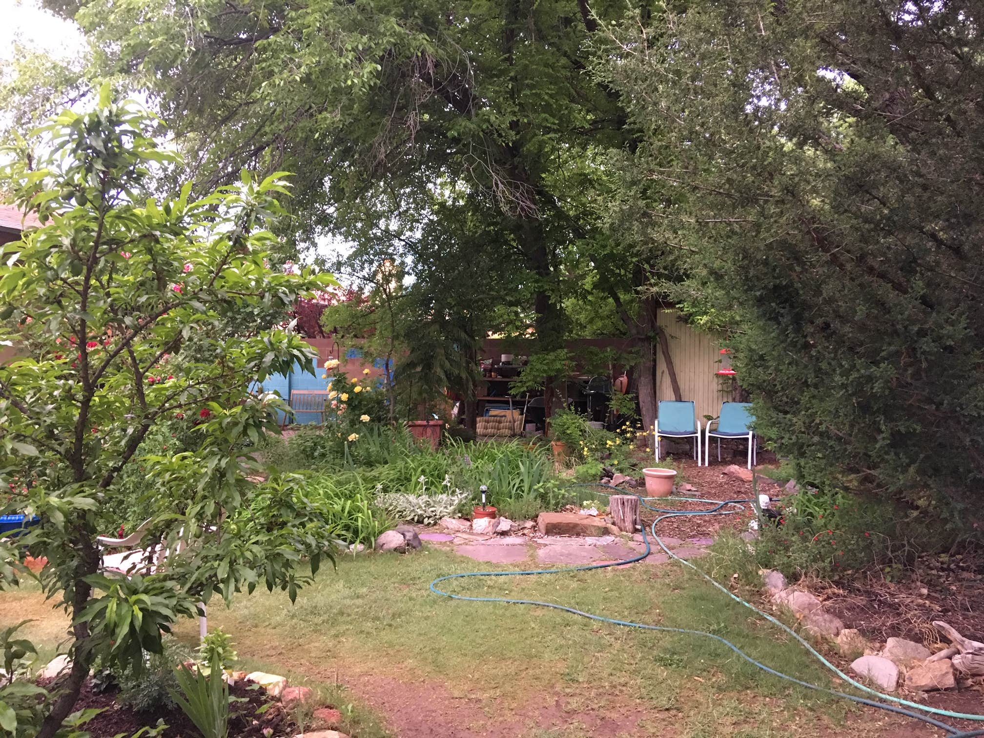 Camping near American RV Resort: Mother Bosque Gardens, Albuquerque, New Mexico