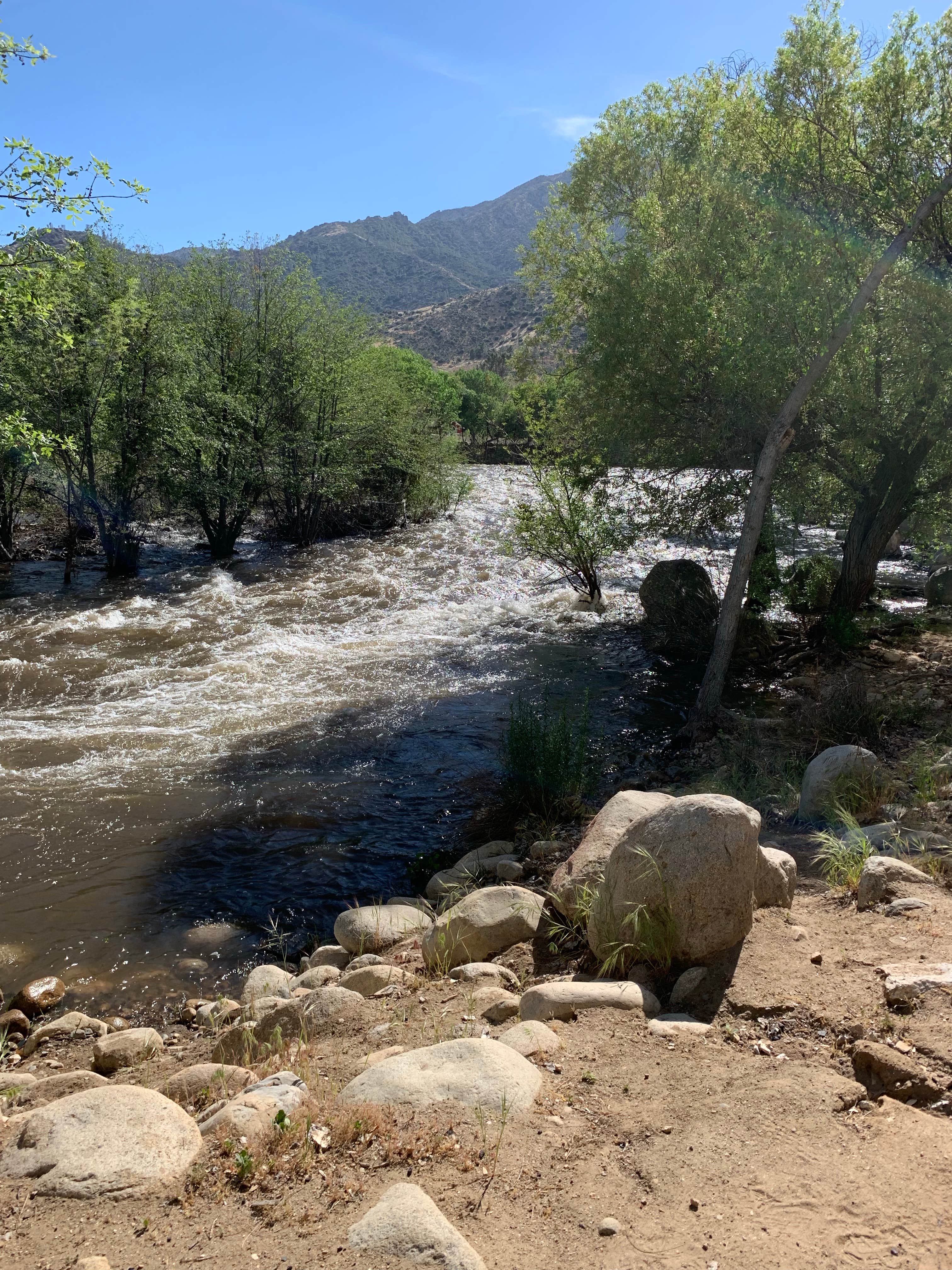 Camper-submitted photo at Rivernook Campground near Onyx, CA