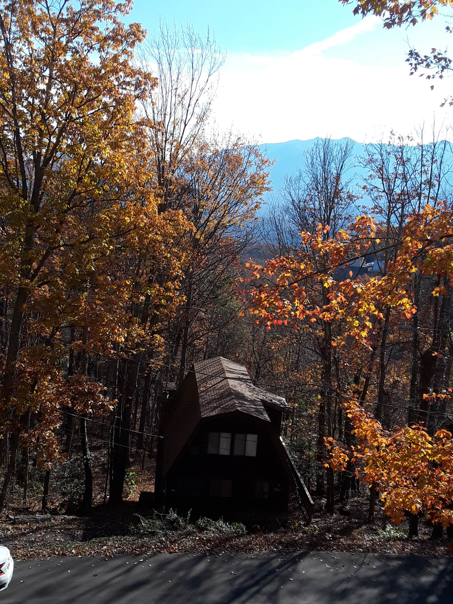 View All