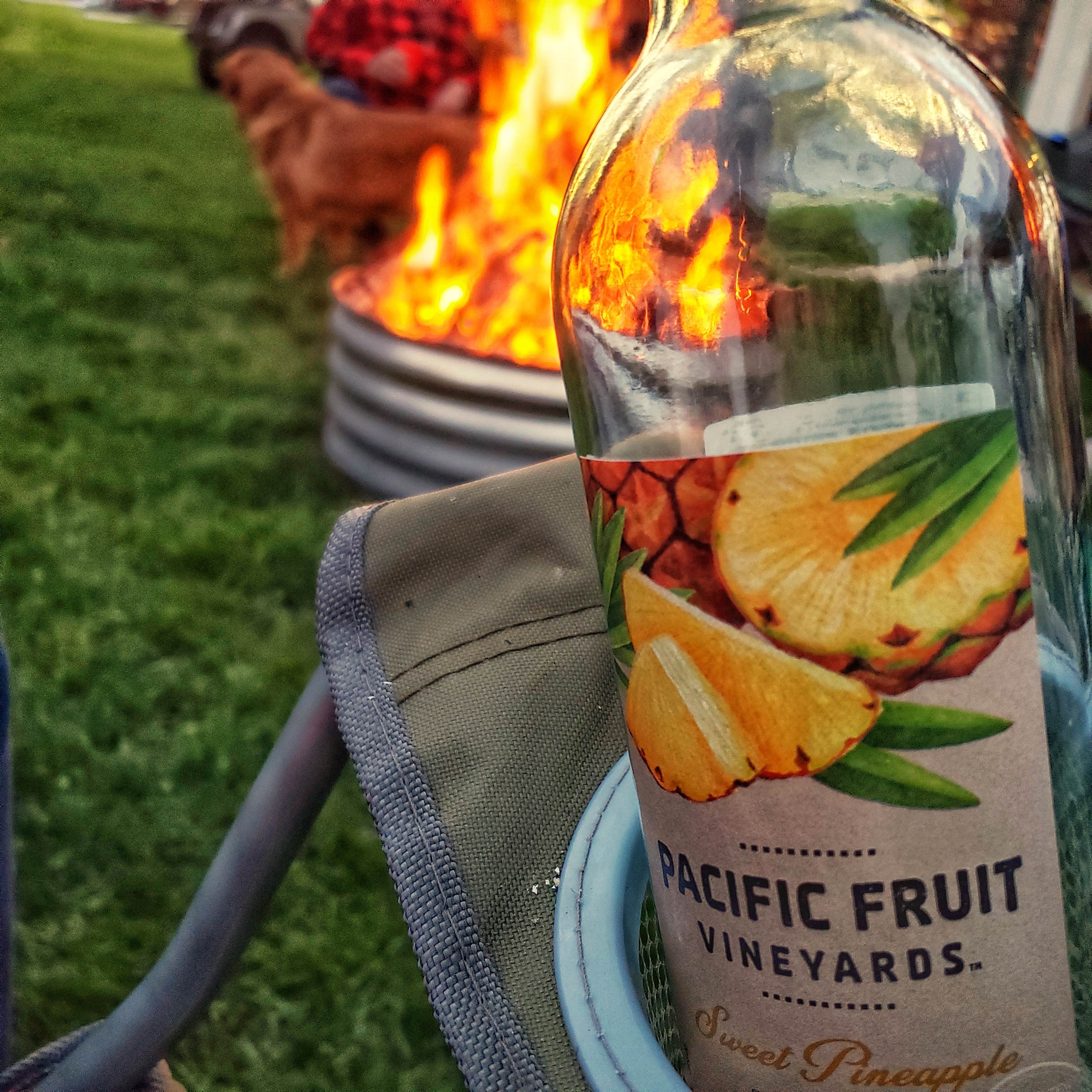 Camper-submitted photo at Holiday Shores RV Park near Corunna, MI