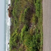 Review photo of Malaquite Campground - Padre Island National Seashore by Frog C., May 12, 2019