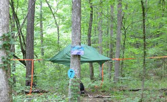 Asher K.'s photo at Parksland Retreat - Clothing Optional near Millerville, AL