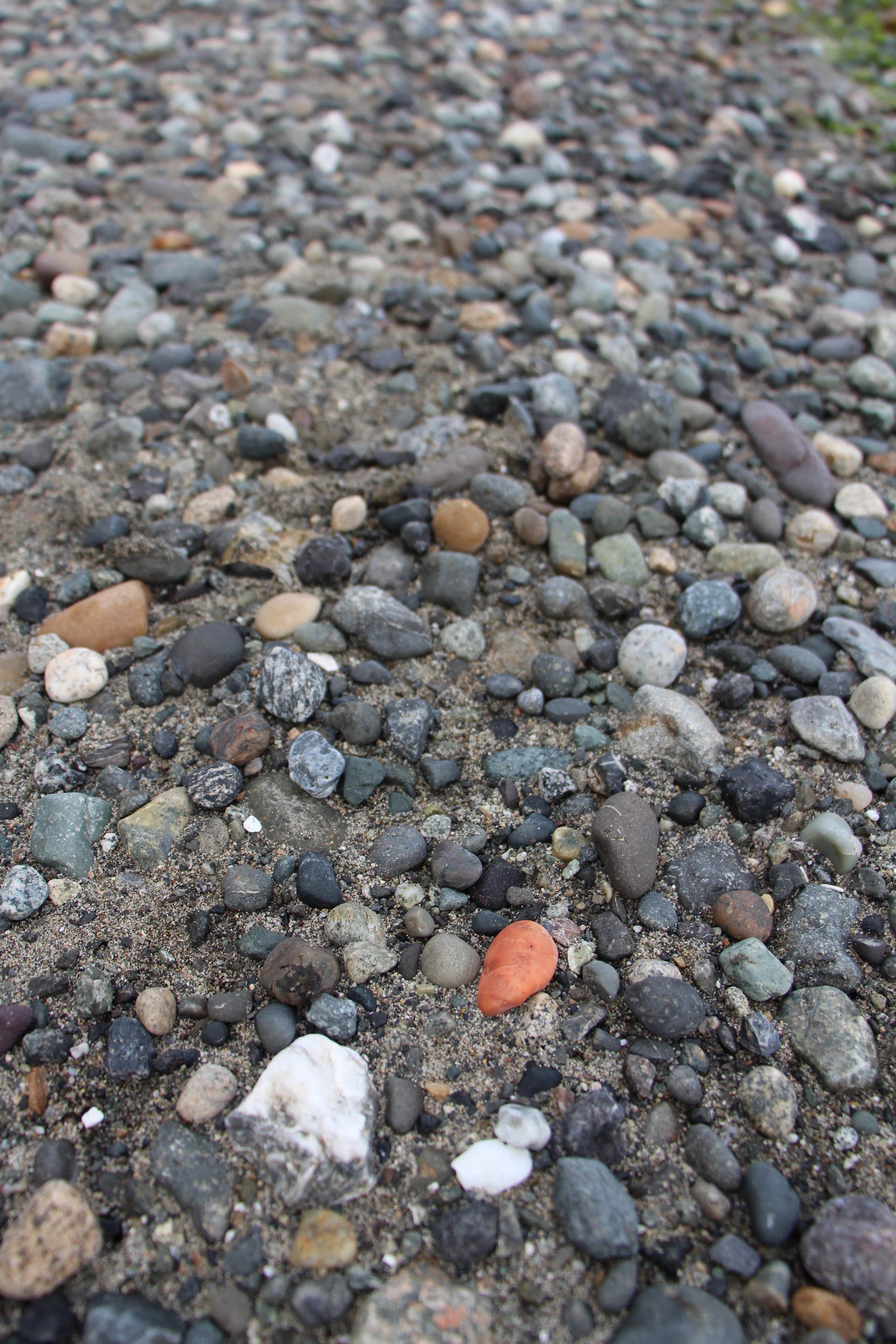 Camper submitted image from Spencer Spit State Park Campground - 2