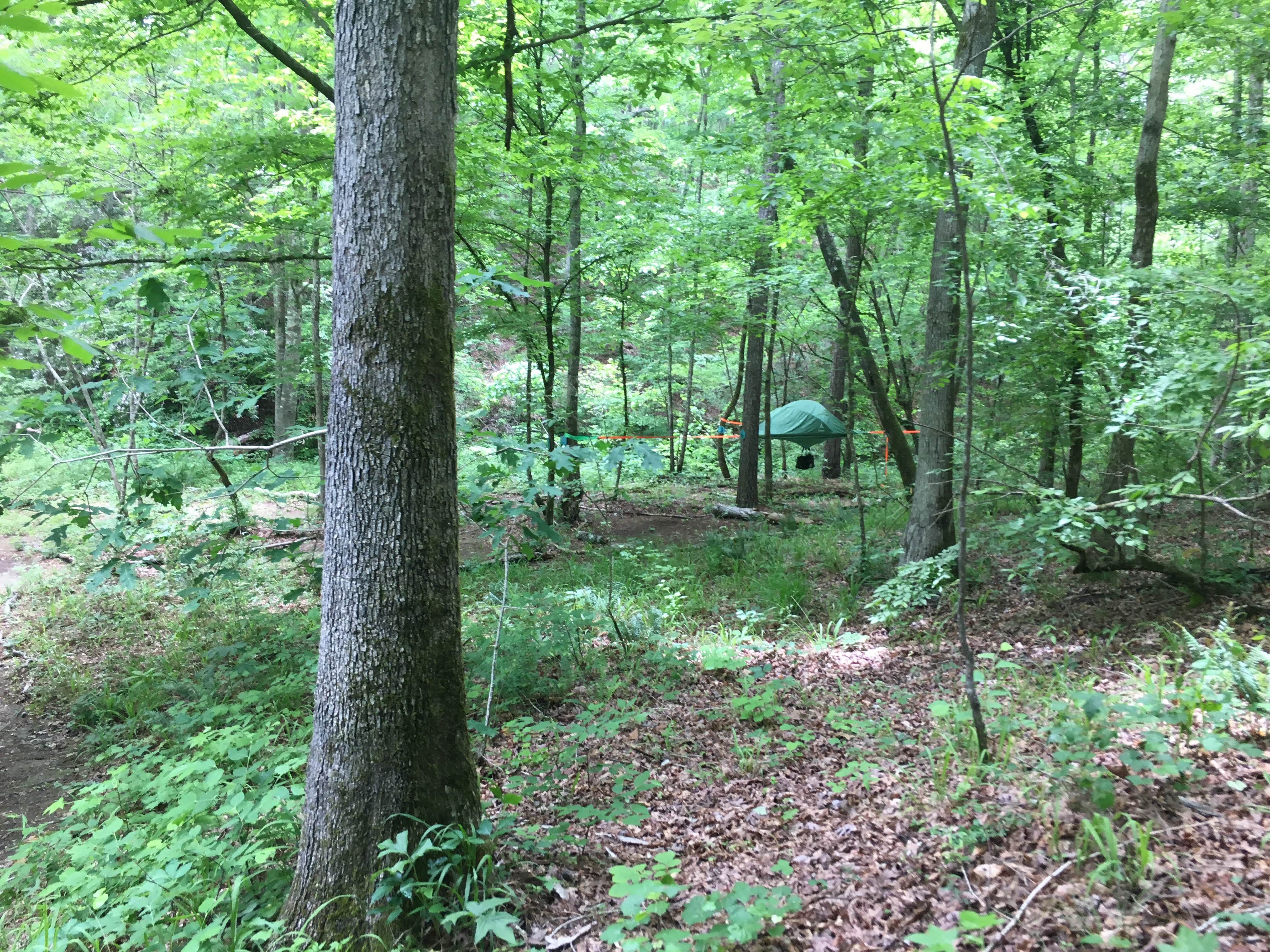 Asher K.'s photo of tent camping at Parksland Retreat - Clothing Optional near Weaver, AL