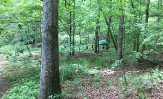 Asher K.'s photo of tent camping at Parksland Retreat - Clothing Optional near Weaver, AL