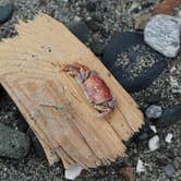 Review photo of Spencer Spit State Park Campground by Valerie , August 29, 2016
