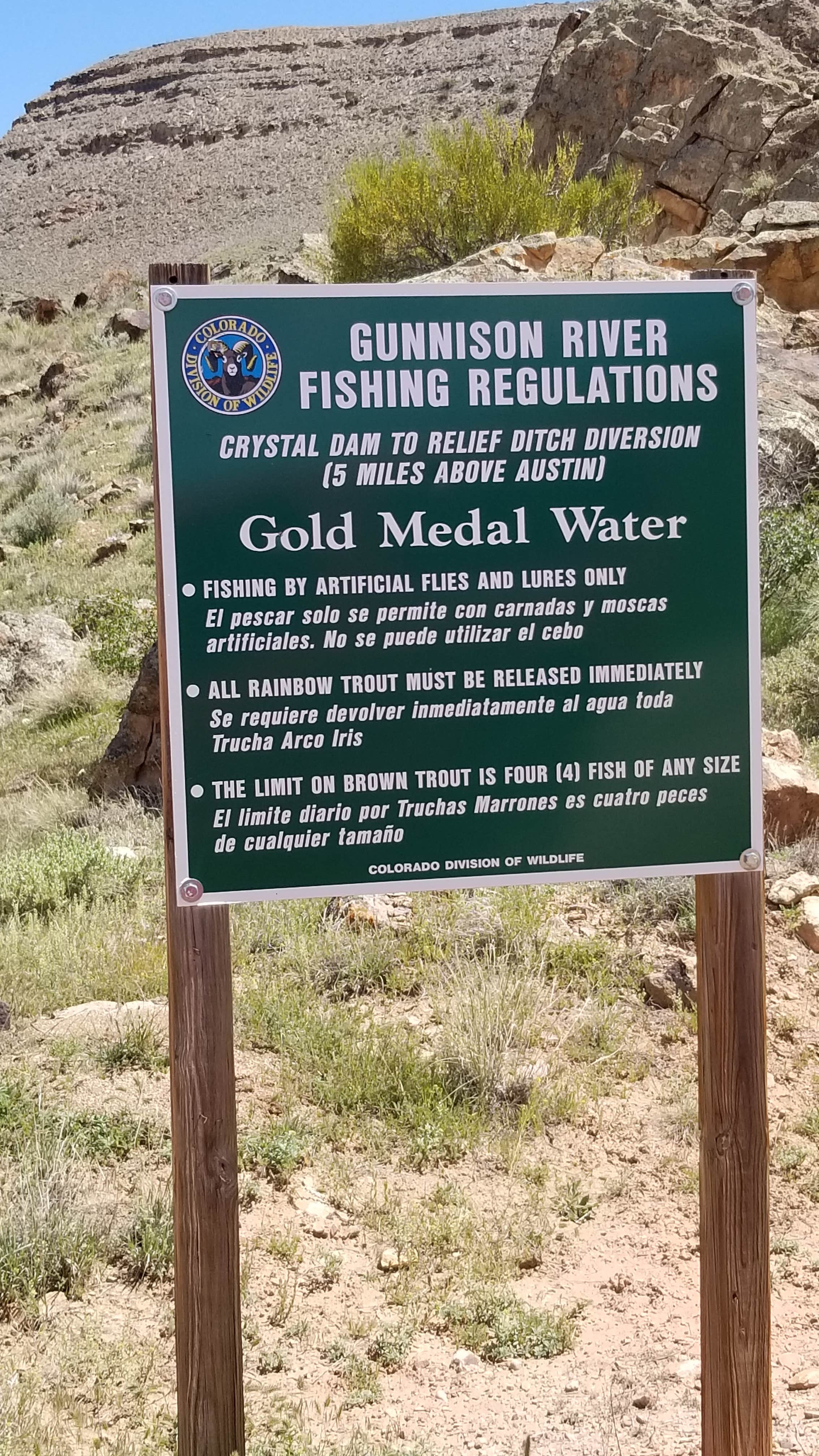 Camper submitted image from BLM Cottonwood Grove Campground - 4