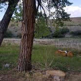 Review photo of BLM Cottonwood Grove Campground by Melissa K., May 12, 2019