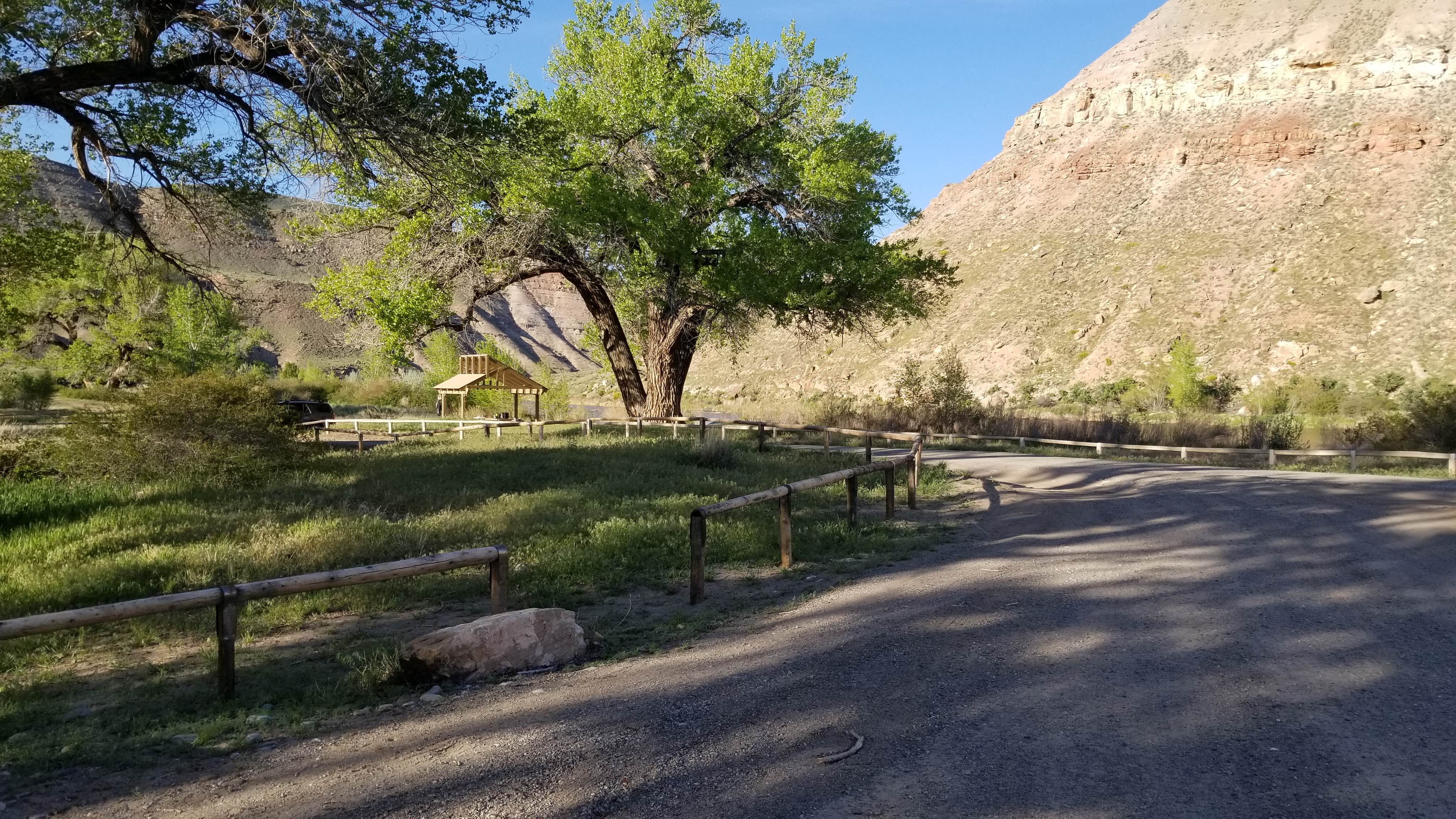 Camper-submitted photo at BLM Cottonwood Grove Campground near Delta, CO
