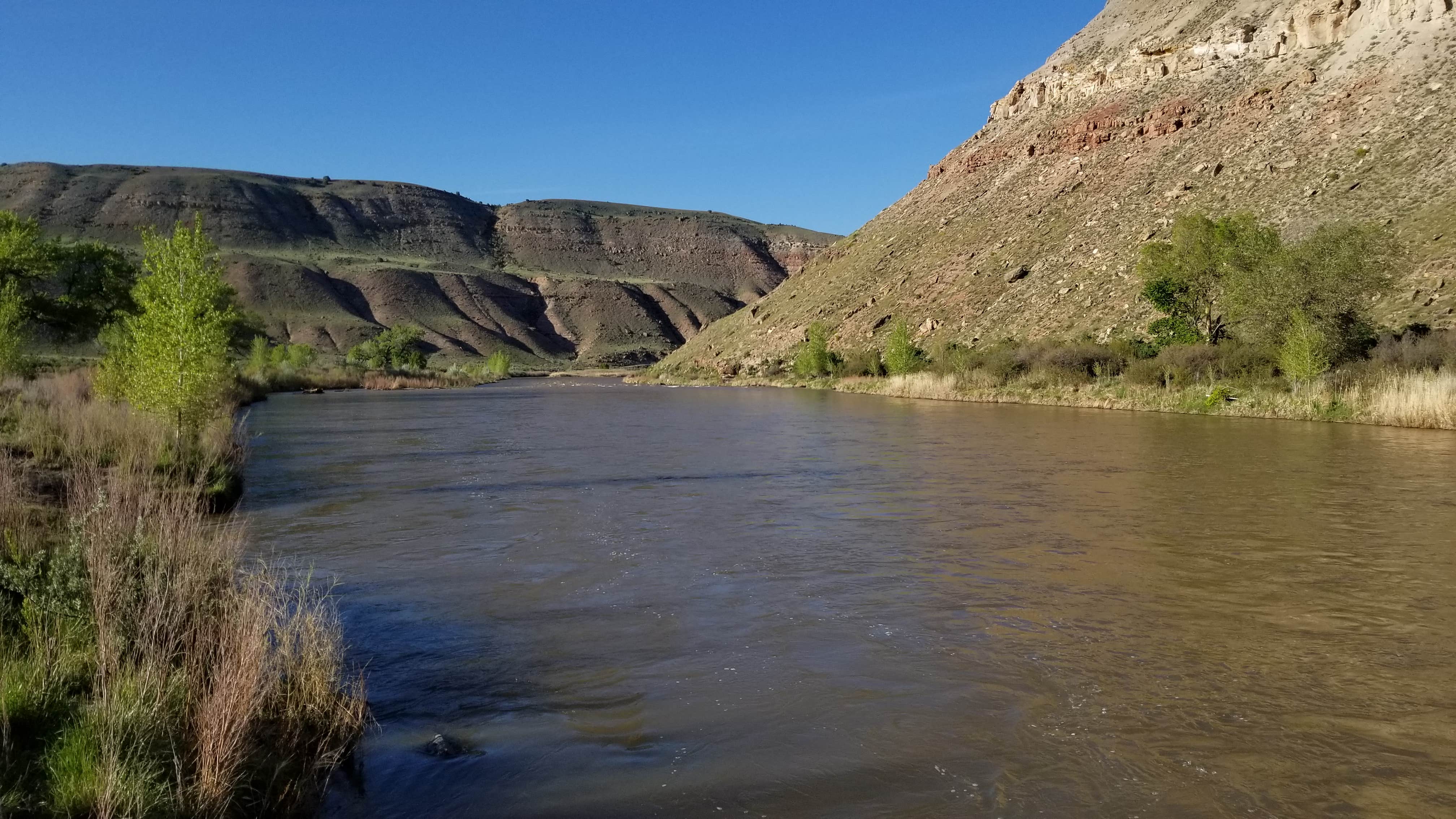 Camper submitted image from BLM Cottonwood Grove Campground - 4