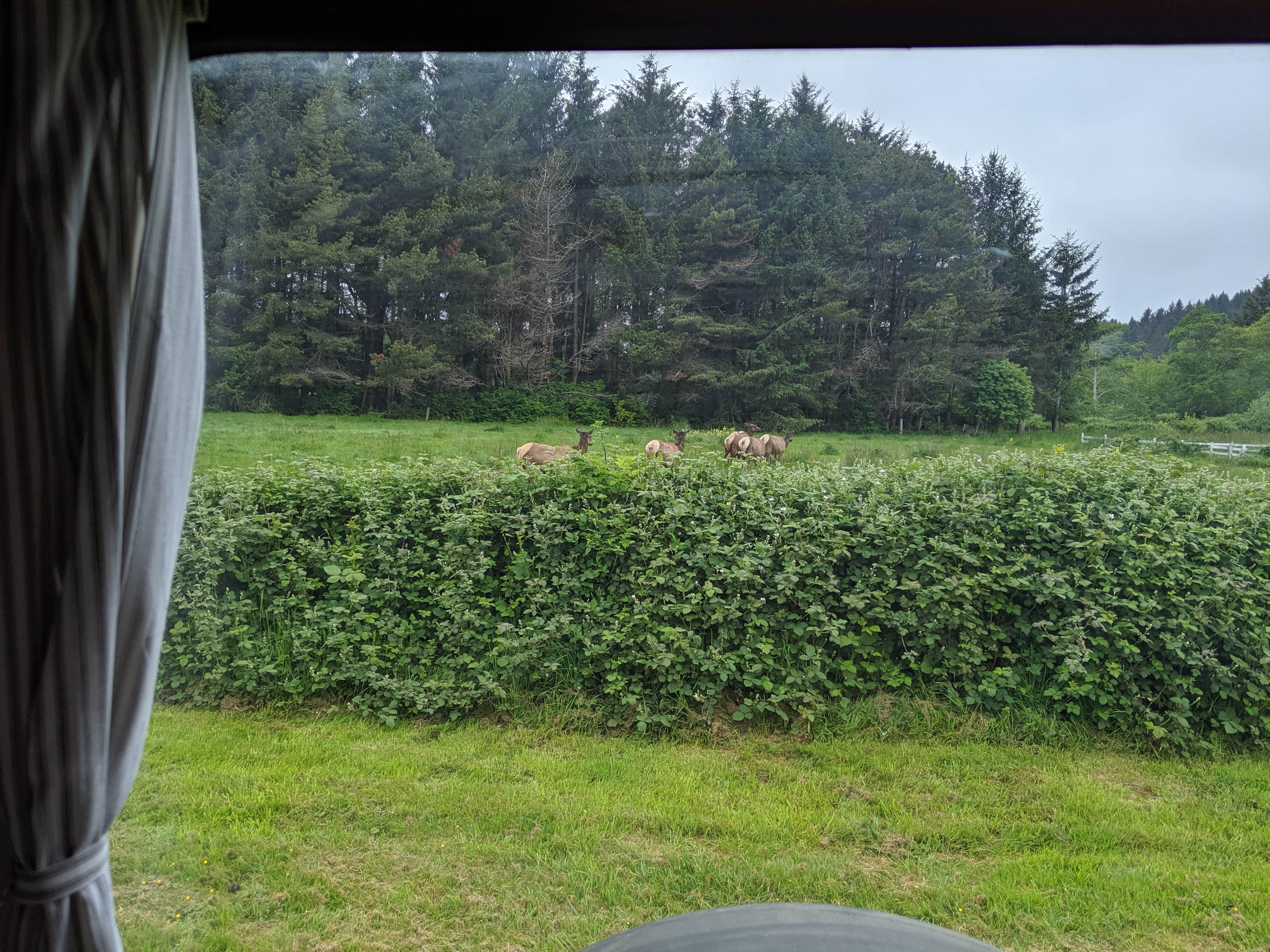 Camper-submitted photo at Elk Country RV Resort & Campground near Hoopa, CA