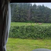 Review photo of Elk Country RV Resort & Campground by Stefanie W., May 13, 2019