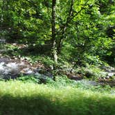 Review photo of Elkmont Campground — Great Smoky Mountains National Park by Jeanene A., August 29, 2016