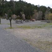 Review photo of Log Gulch Recreation Site by Dexter I., May 13, 2019