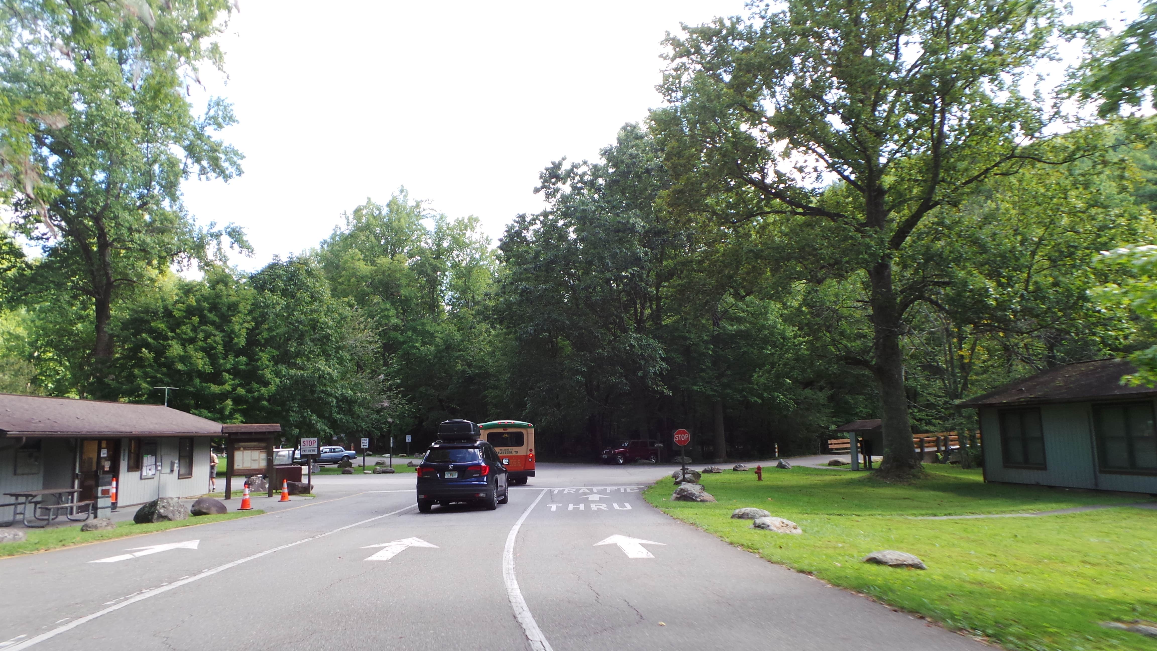 Jeanene A.'s photo of glamping accommodations at Elkmont Campground — Great Smoky Mountains National Park near Whittier, NC