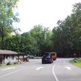 Review photo of Elkmont Campground — Great Smoky Mountains National Park by Jeanene A., August 29, 2016