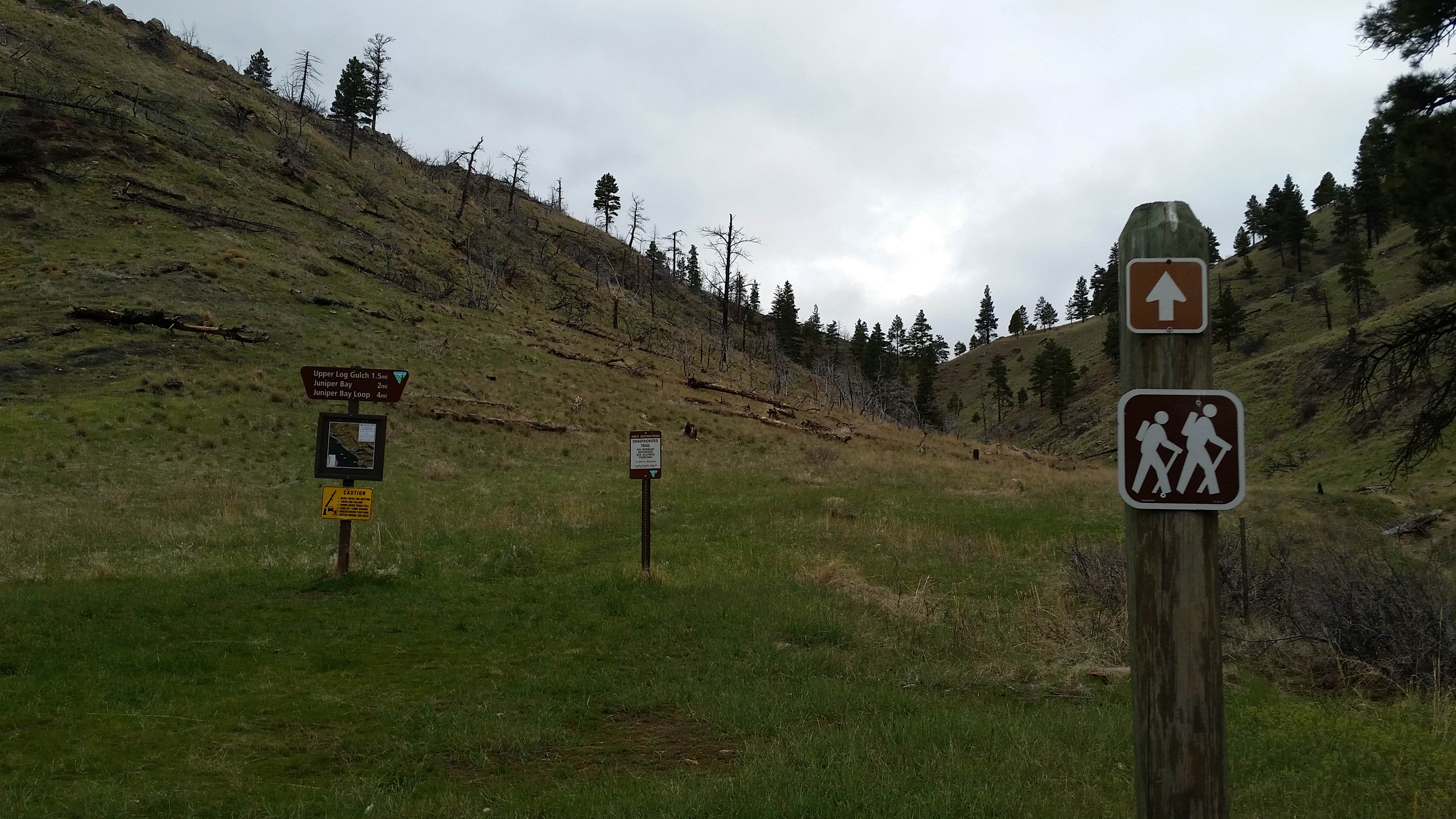 Camper-submitted photo at Log Gulch Recreation Site near Helena, MT