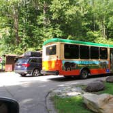 Review photo of Elkmont Campground — Great Smoky Mountains National Park by Jeanene A., August 29, 2016