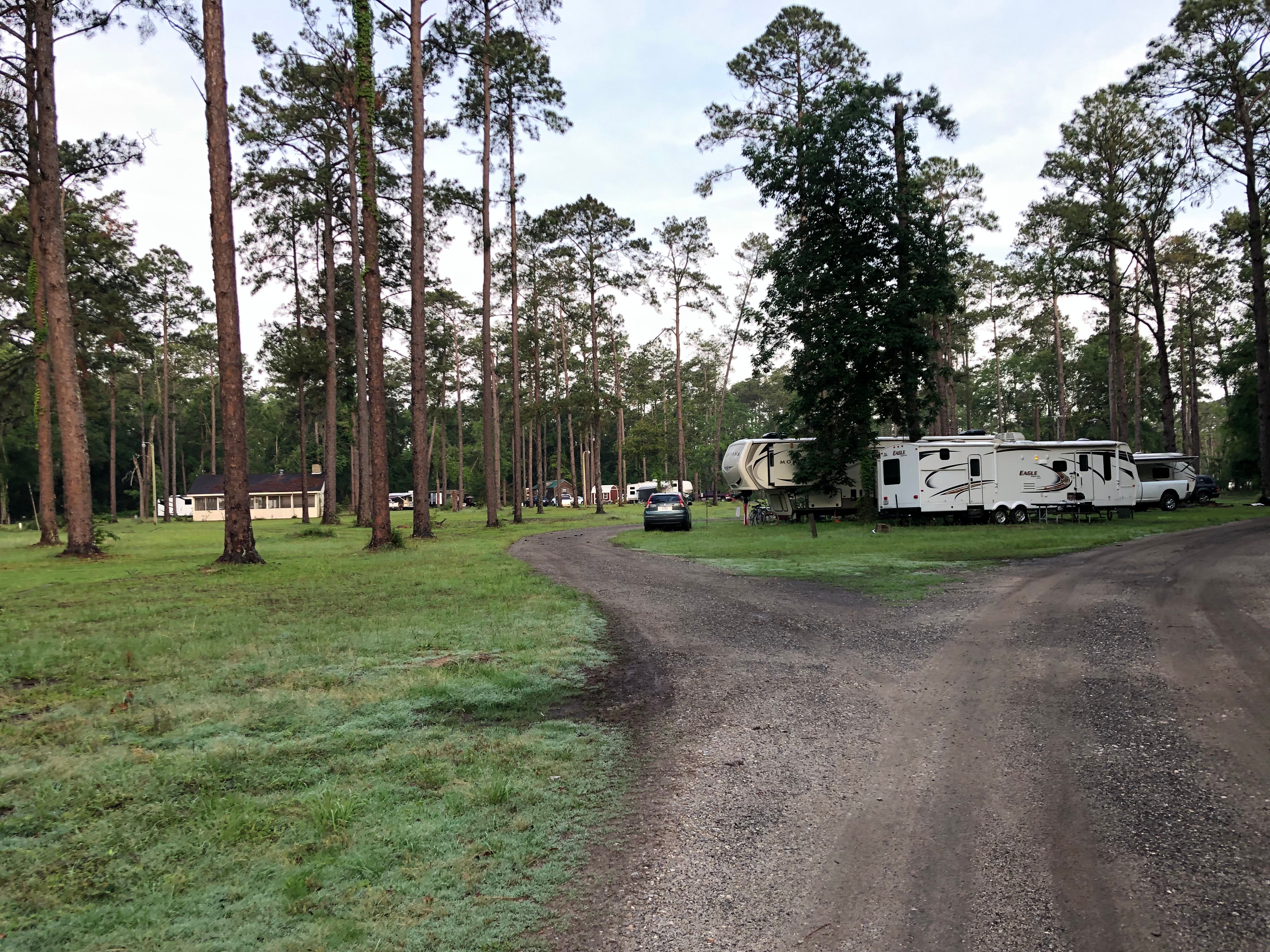 Camper submitted image from Chehaw Park Campground - 4