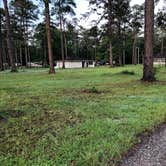 Review photo of Chehaw Park Campground by Sonyia W., May 13, 2019