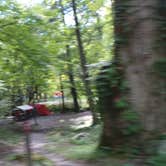 Review photo of Elkmont Campground — Great Smoky Mountains National Park by Jeanene A., August 29, 2016