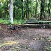 Review photo of Chehaw Park Campground by Sonyia W., May 13, 2019