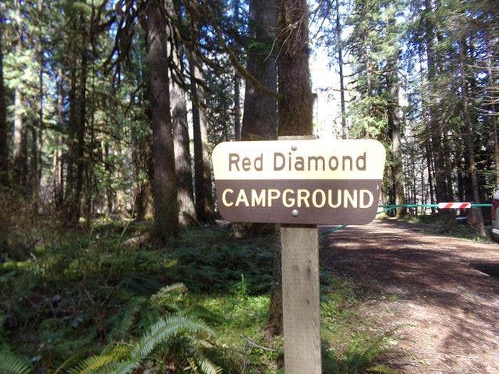 Camper submitted image from Willamette National Forest Red Diamond Group Campsite - 5