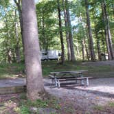 Review photo of Elkmont Campground — Great Smoky Mountains National Park by Jeanene A., August 29, 2016