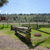 Review photo of Crooked River Campground — The Cove Palisades State Park by Jill T., May 13, 2019