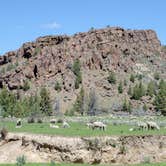 Review photo of Crooked River Campground — The Cove Palisades State Park by Jill T., May 13, 2019