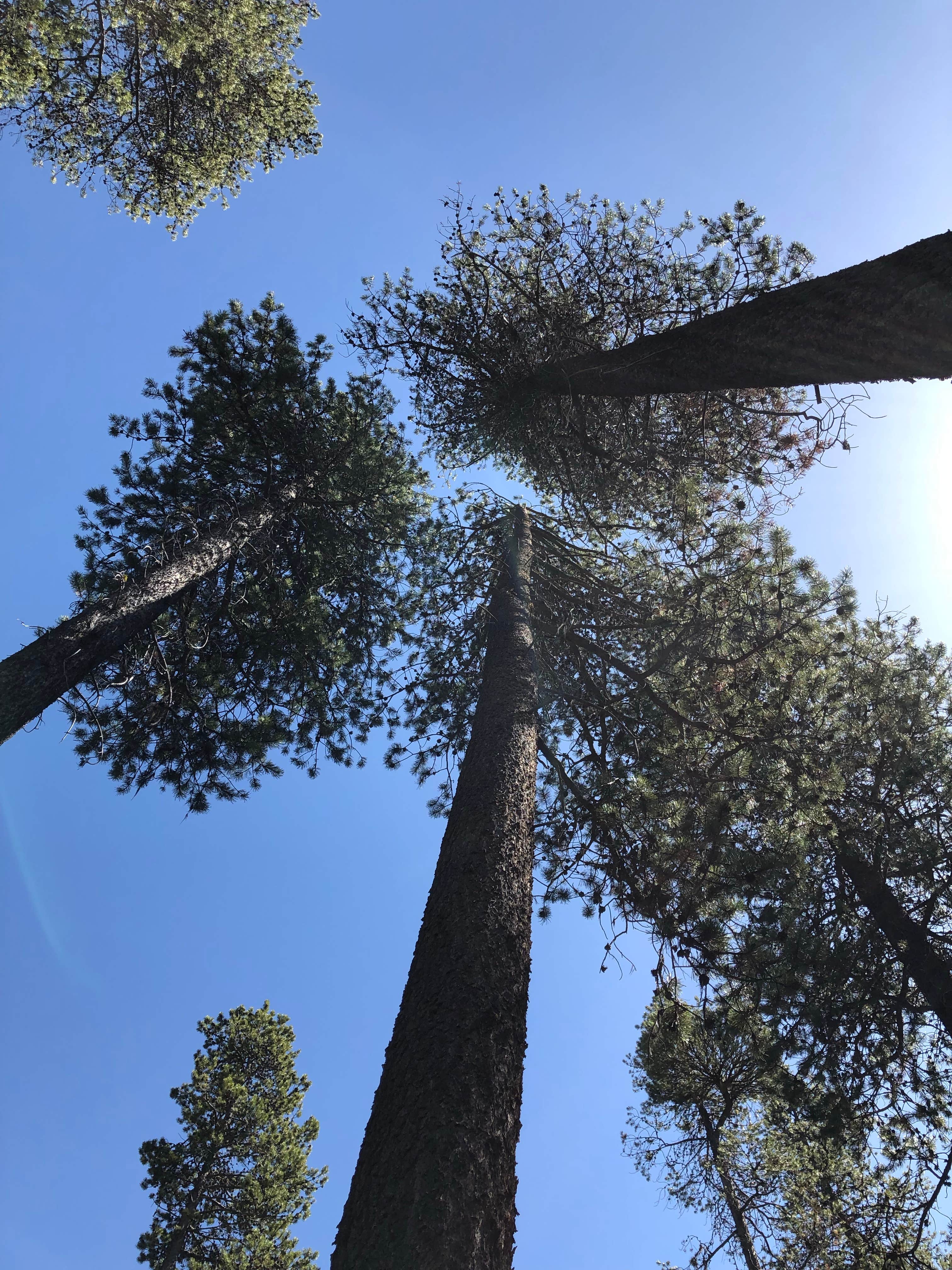 Camper submitted image from LaPine State Park Campground - 5