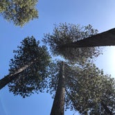 Review photo of La Pine State Park Campground by Brandie W., May 13, 2019