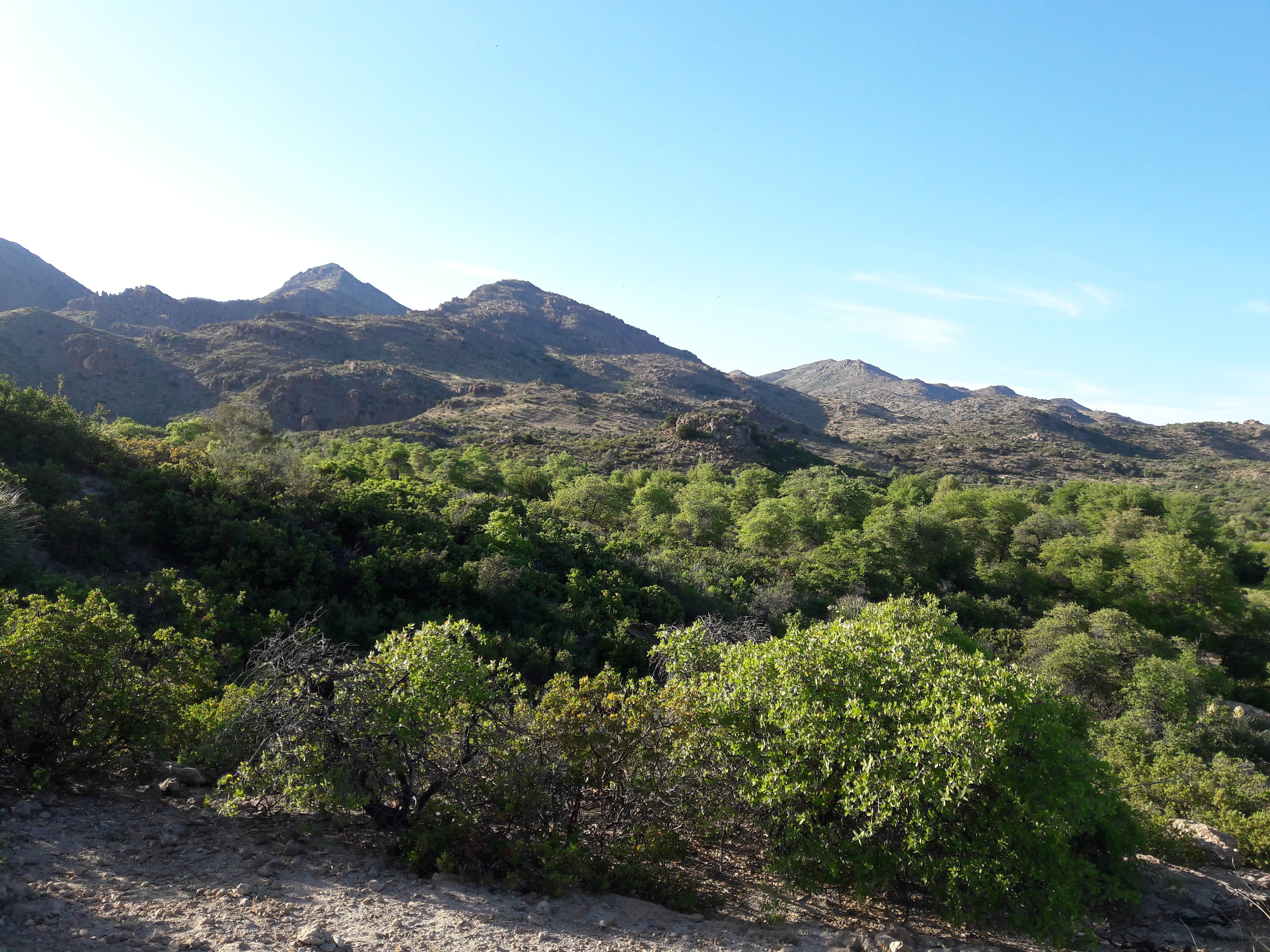 A five minute hike from my camp afforded me this view.