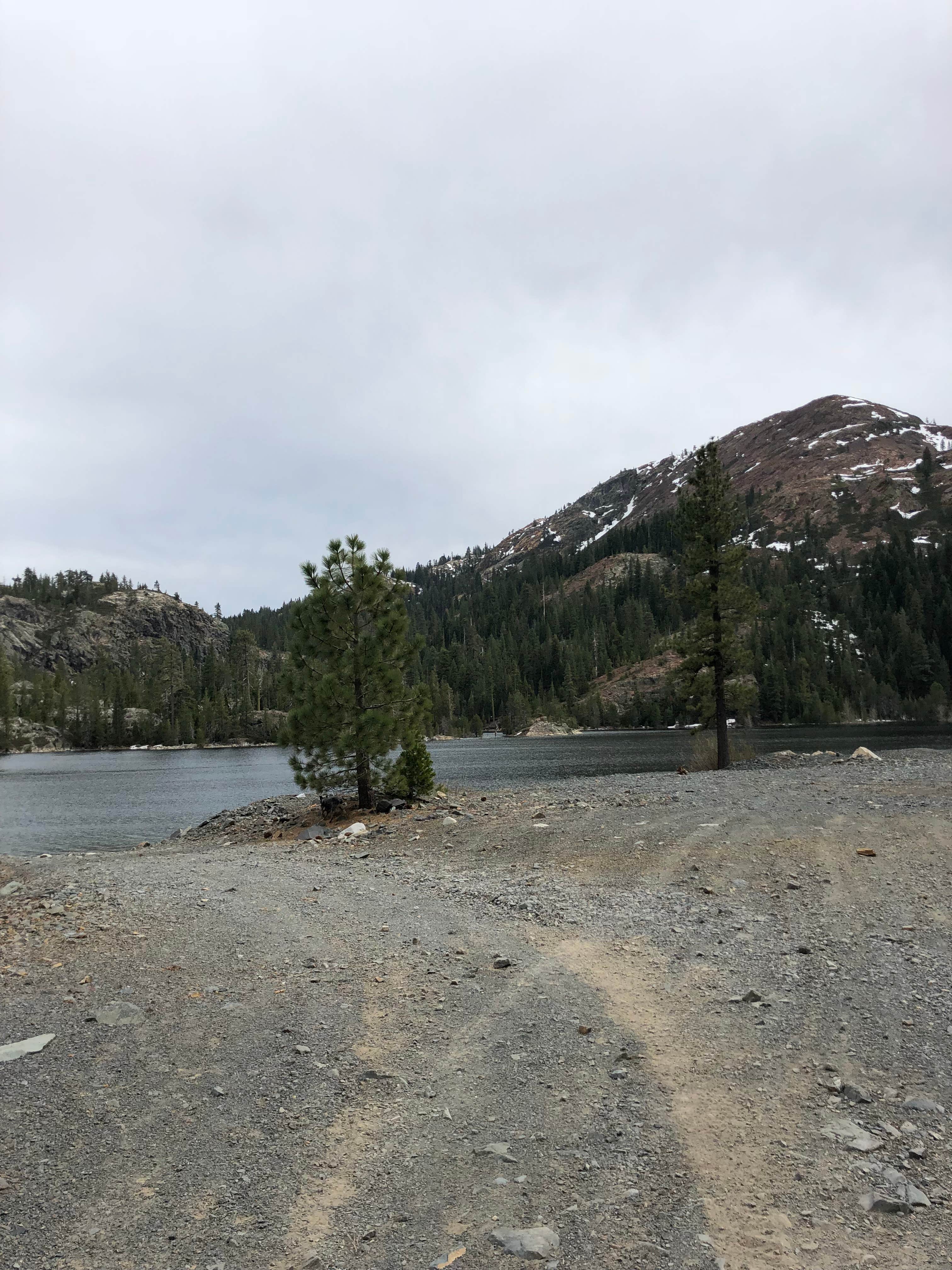 Camper-submitted photo at Bowman Campground near Emigrant Gap, CA