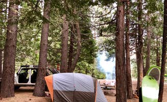 Kris E.'s photo at Bowman Campground near Alleghany, CA