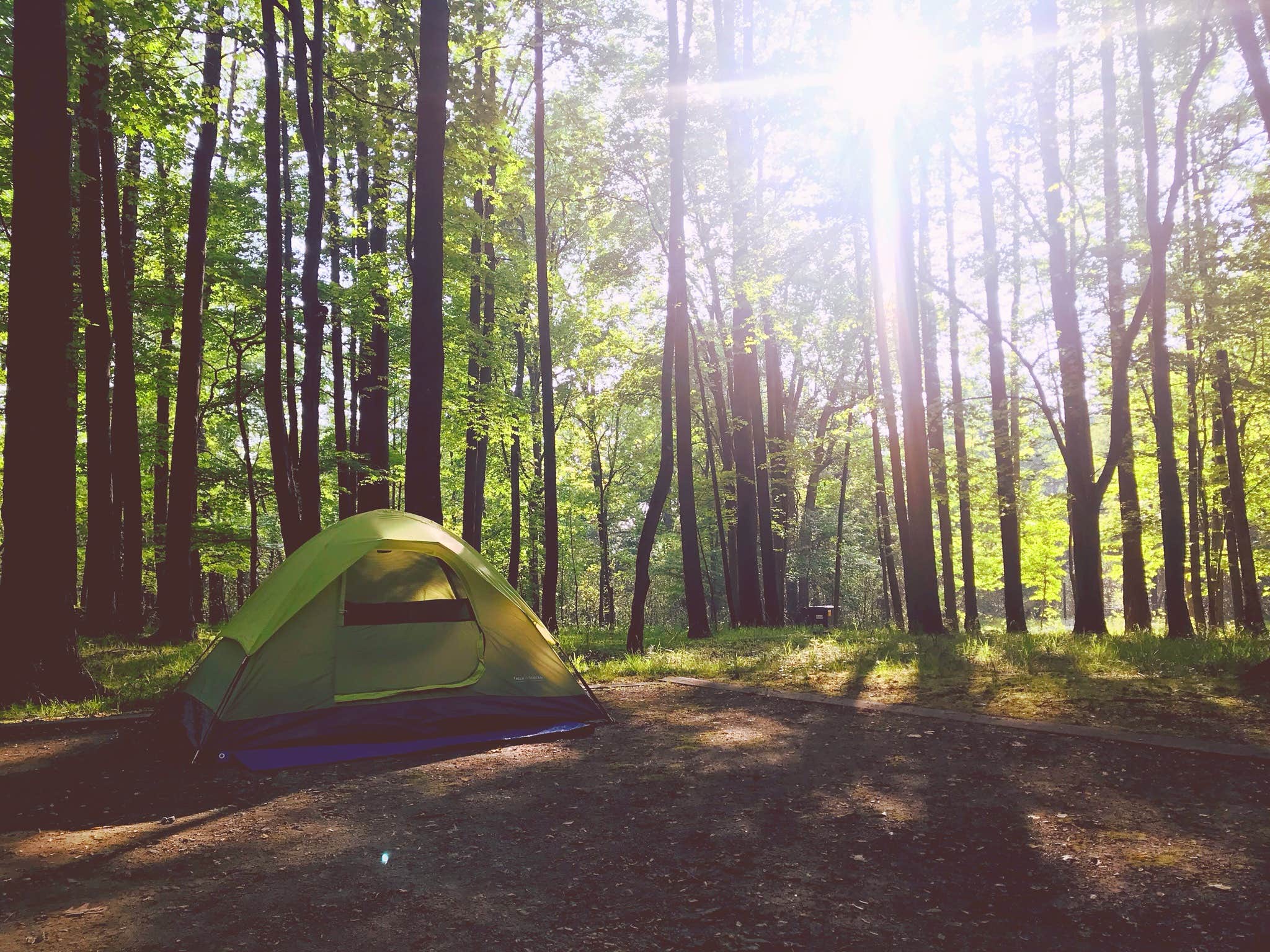 Amanda + Will's photo at Elk Neck State Park Campground near Darlington, MD