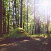Review photo of Elk Neck State Park Campground by Amanda + Will  , May 13, 2019