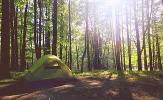 Amanda + Will's photo at Elk Neck State Park Campground near Townsend, DE
