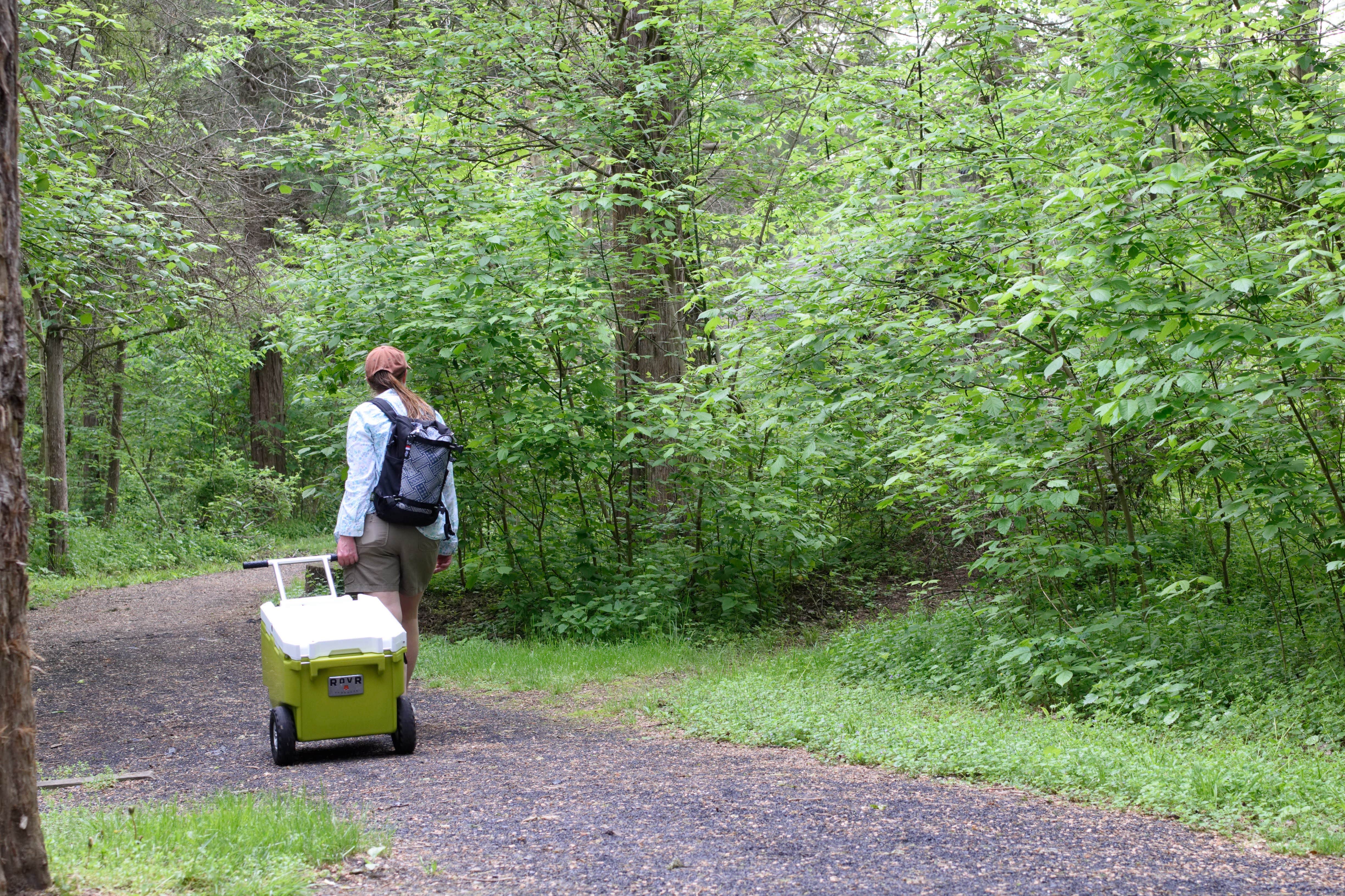 Camper submitted image from Andy Guest/Shenandoah River State Park Campground - 4