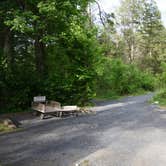 Review photo of Andy Guest/Shenandoah River State Park Campground by Tara S., May 13, 2019