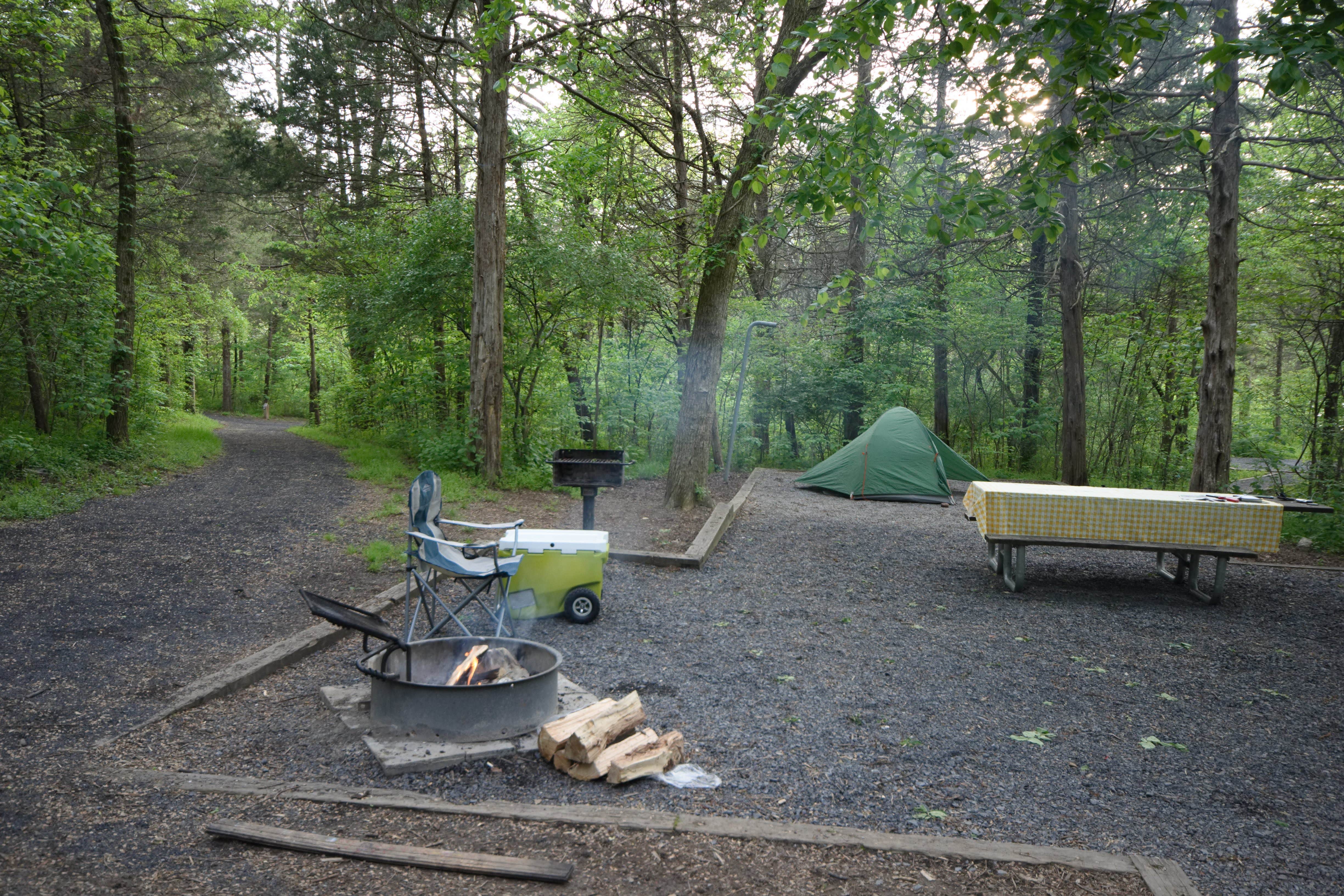Tara S.'s photo at Andy Guest/Shenandoah River State Park Campground near Stephens City, VA