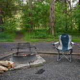 Review photo of Andy Guest/Shenandoah River State Park Campground by Tara S., May 13, 2019