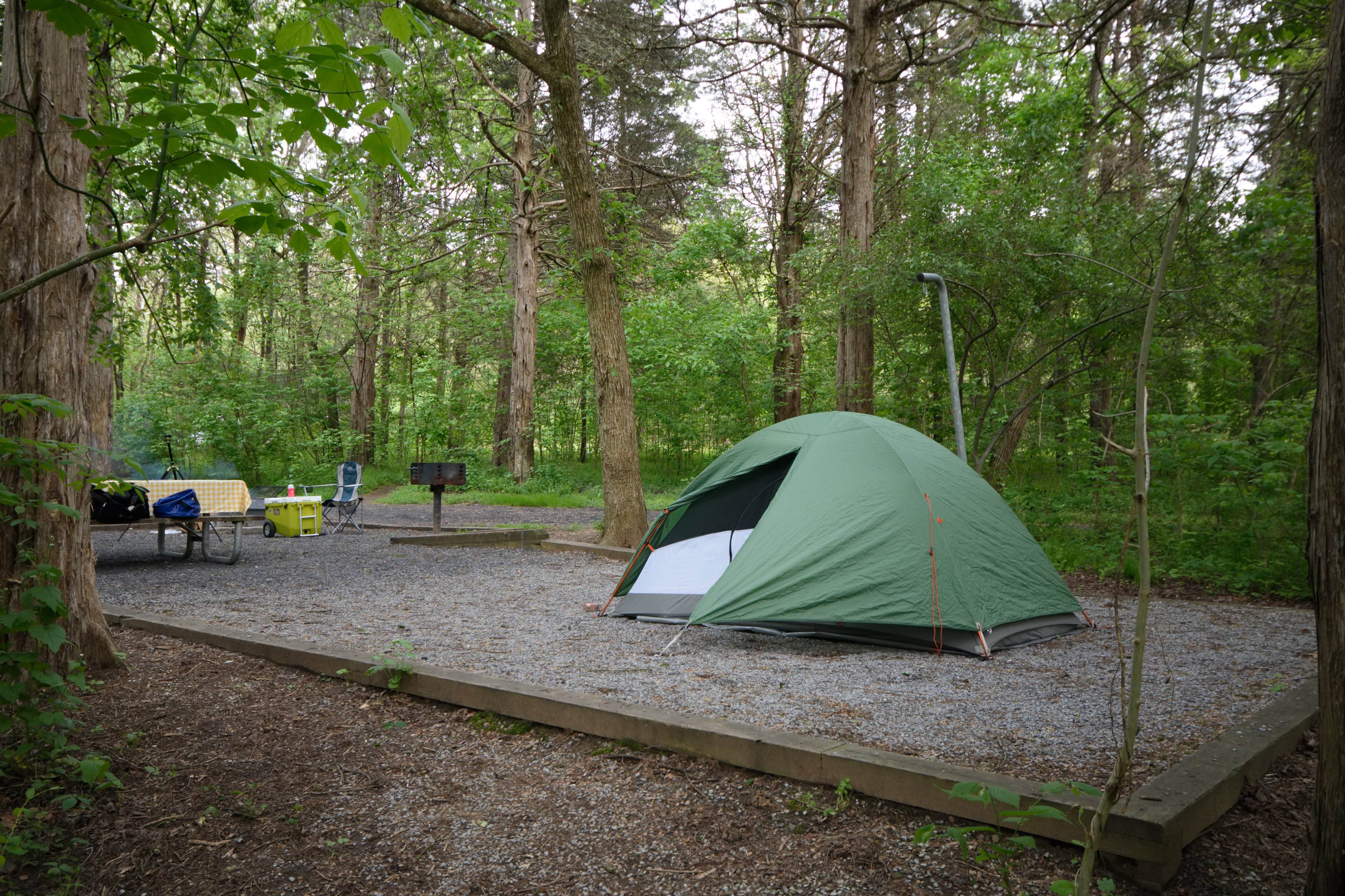 Tara S.'s photo at Andy Guest/Shenandoah River State Park Campground near Chester Gap, VA