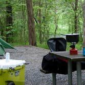 Review photo of Andy Guest/Shenandoah River State Park Campground by Tara S., May 13, 2019