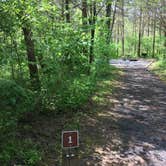 Review photo of Andy Guest/Shenandoah River State Park Campground by Tara S., May 13, 2019