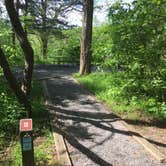 Review photo of Andy Guest/Shenandoah River State Park Campground by Tara S., May 13, 2019