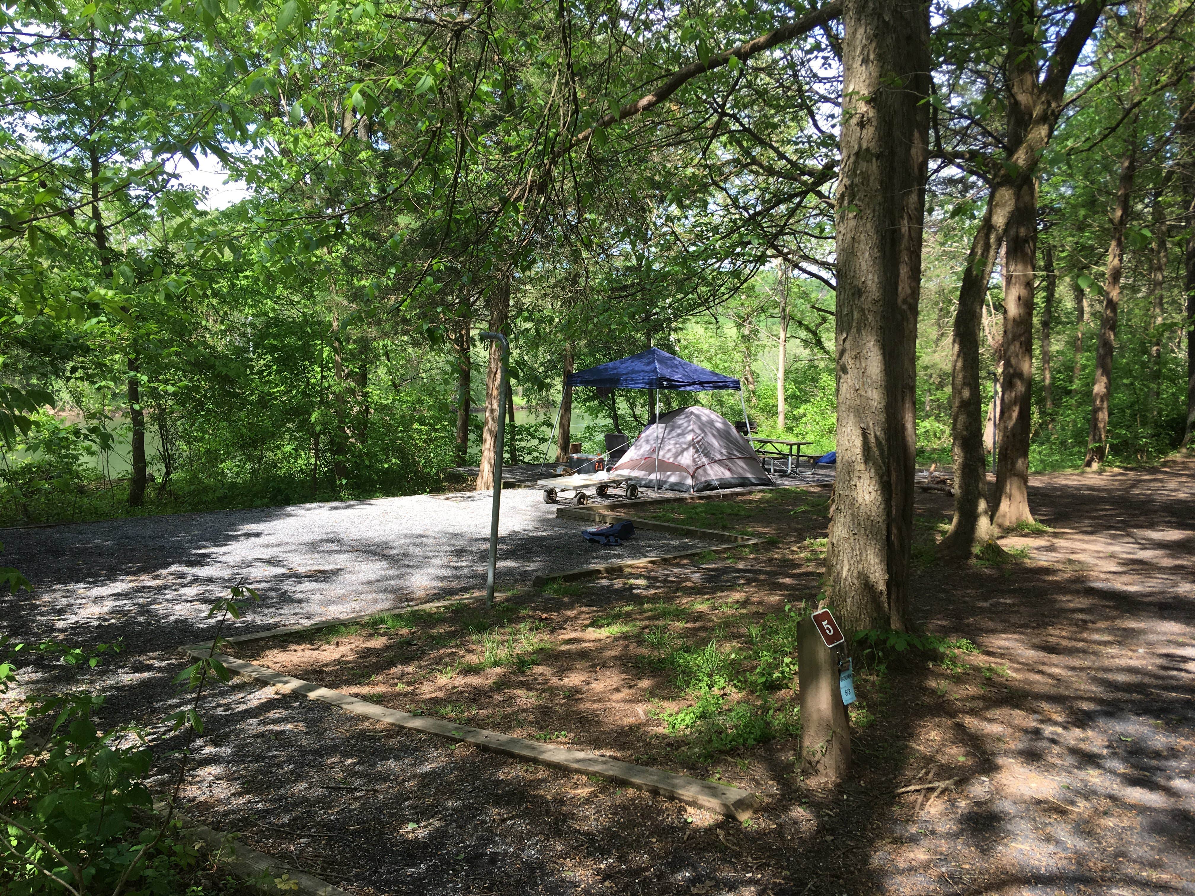 Tara S.'s photo at Andy Guest/Shenandoah River State Park Campground near Front Royal, VA